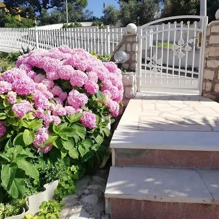 דירה Cactus