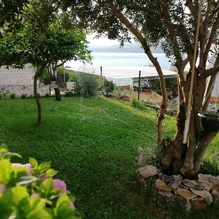 Apartament Cactus