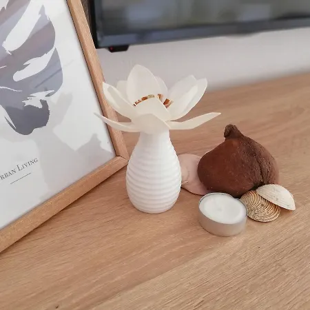 Apartament Cactus *