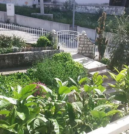 Cactus Apartament