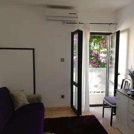 Cactus Apartment